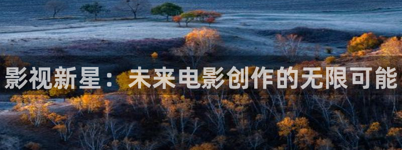 请回答1988 高清下载