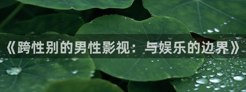 98影院手机免费观看：《跨性别的男性影视：与娱乐的边界》