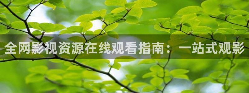 98影院：全网影视资源在线观看指南：一站式观影