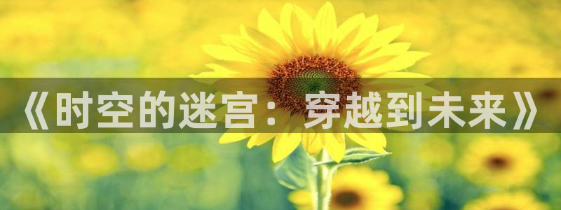 98在线播放：《时空的迷宫：穿越到未来》