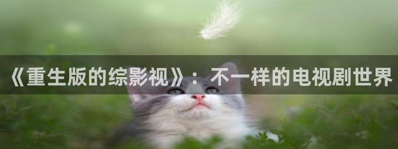 电影舍方知1988未删减版：《重生版的综影视》：不一样的电视剧世界
